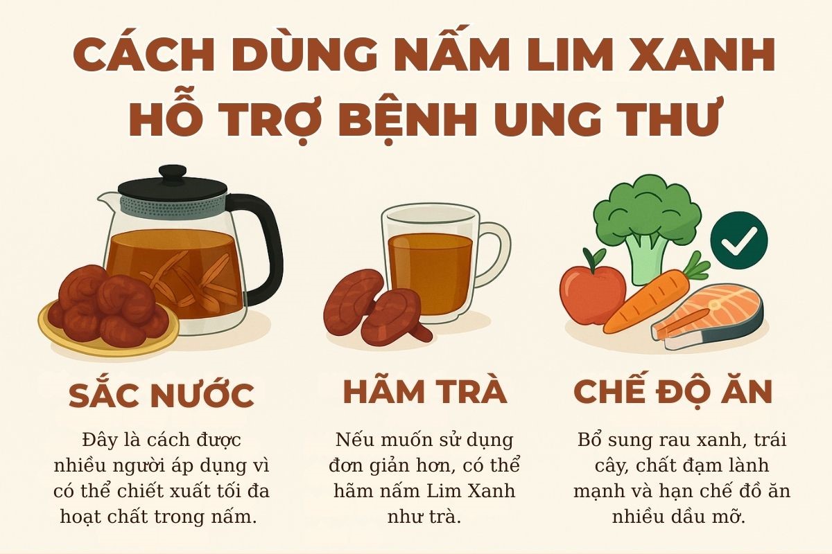 tác dụng nấm lim xanh chữa ung thư